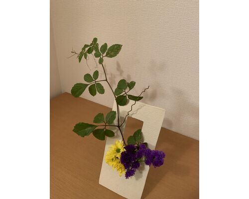 IMG-1944